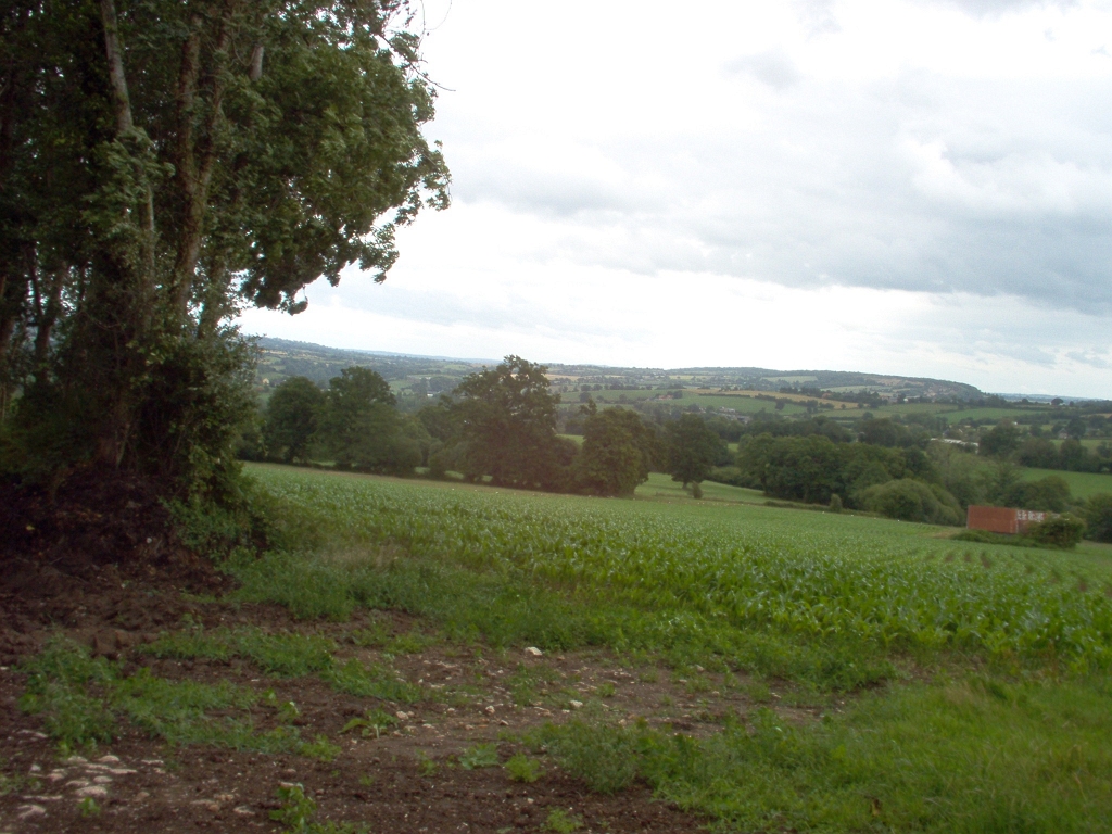 20110000 LA PAVÉE Pont-Farcy 31-2.jpg - IM000296.JPG